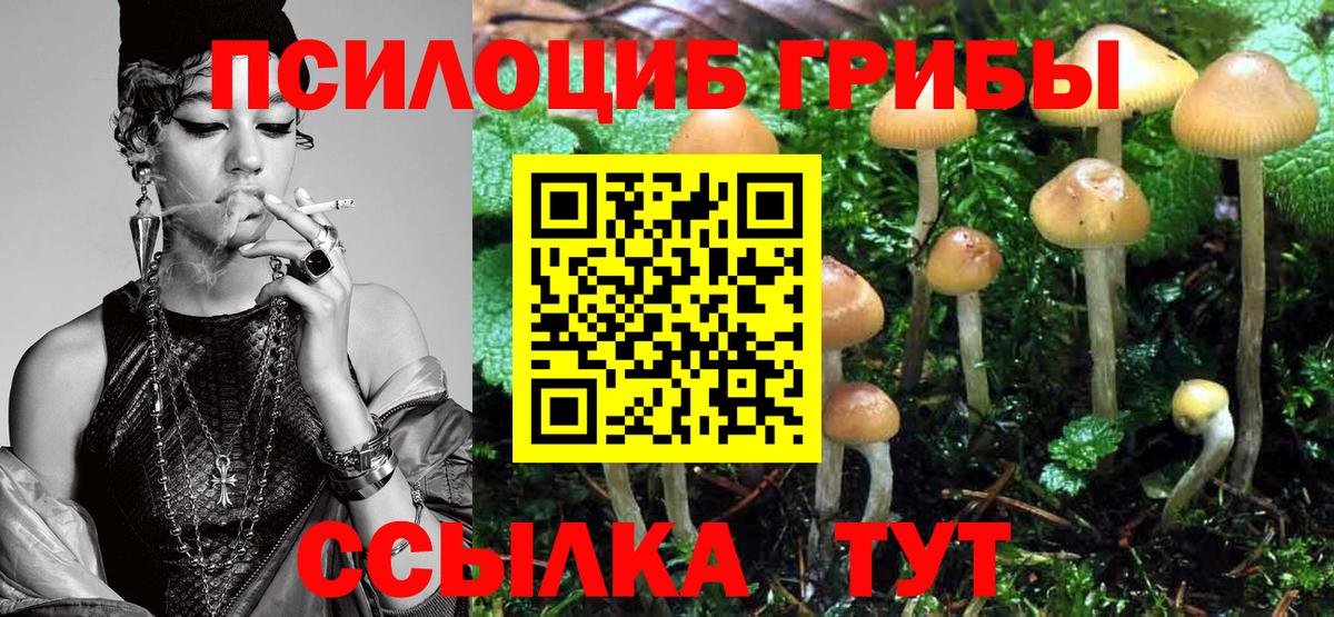 Псилоцибиновые грибы Magic Shrooms Будённовск