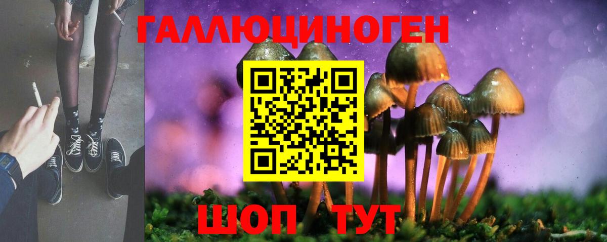 Будённовск  Галлюциногенные грибы Psilocybe  Вход с VPN 