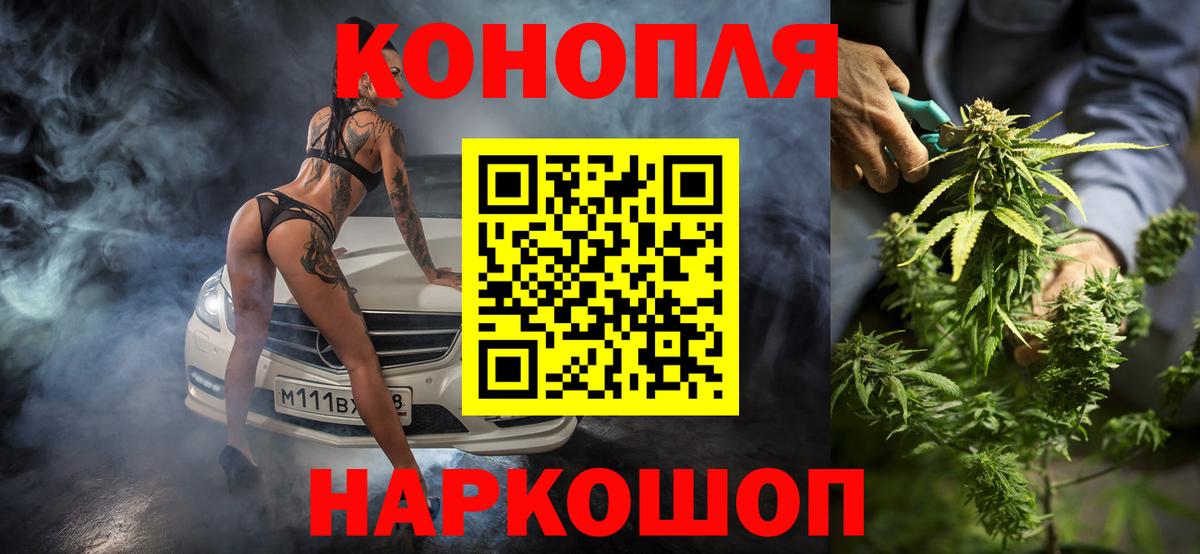 Каннабис конопля Будённовск